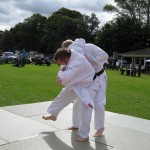 Friary Judo Club at the Whittington Fair, Lichfield