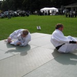 Friary Judo Club at the Whittington Fair, Lichfield