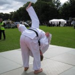 Friary Judo Club at the Whittington Fair, Lichfield