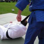 Friary Judo Club at the Whittington Fair, Lichfield