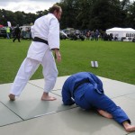 Friary Judo Club at the Whittington Fair, Lichfield