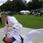 Friary Judo Club at the Whittington Fair, Lichfield