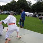 Friary Judo Club at the Whittington Fair, Lichfield