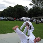 Friary Judo Club at the Whittington Fair, Lichfield