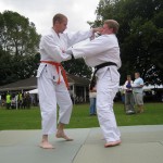 Friary Judo Club at the Whittington Fair, Lichfield