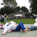 Friary Judo Club at the Whittington Fair, Lichfield