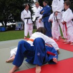 Friary Judo Club at the Whittington Fair, Lichfield