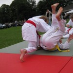 Friary Judo Club at the Whittington Fair, Lichfield