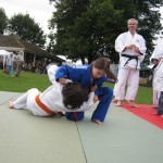 Friary Judo Club at the Whittington Fair, Lichfield