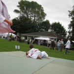 Friary Judo Club at the Whittington Fair, Lichfield