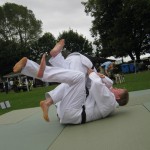 Friary Judo Club at the Whittington Fair, Lichfield