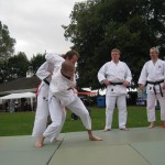 Friary Judo Club at the Whittington Fair, Lichfield