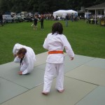 Friary Judo Club at the Whittington Fair, Lichfield