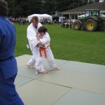 Friary Judo Club at the Whittington Fair, Lichfield