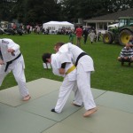 Friary Judo Club at the Whittington Fair, Lichfield